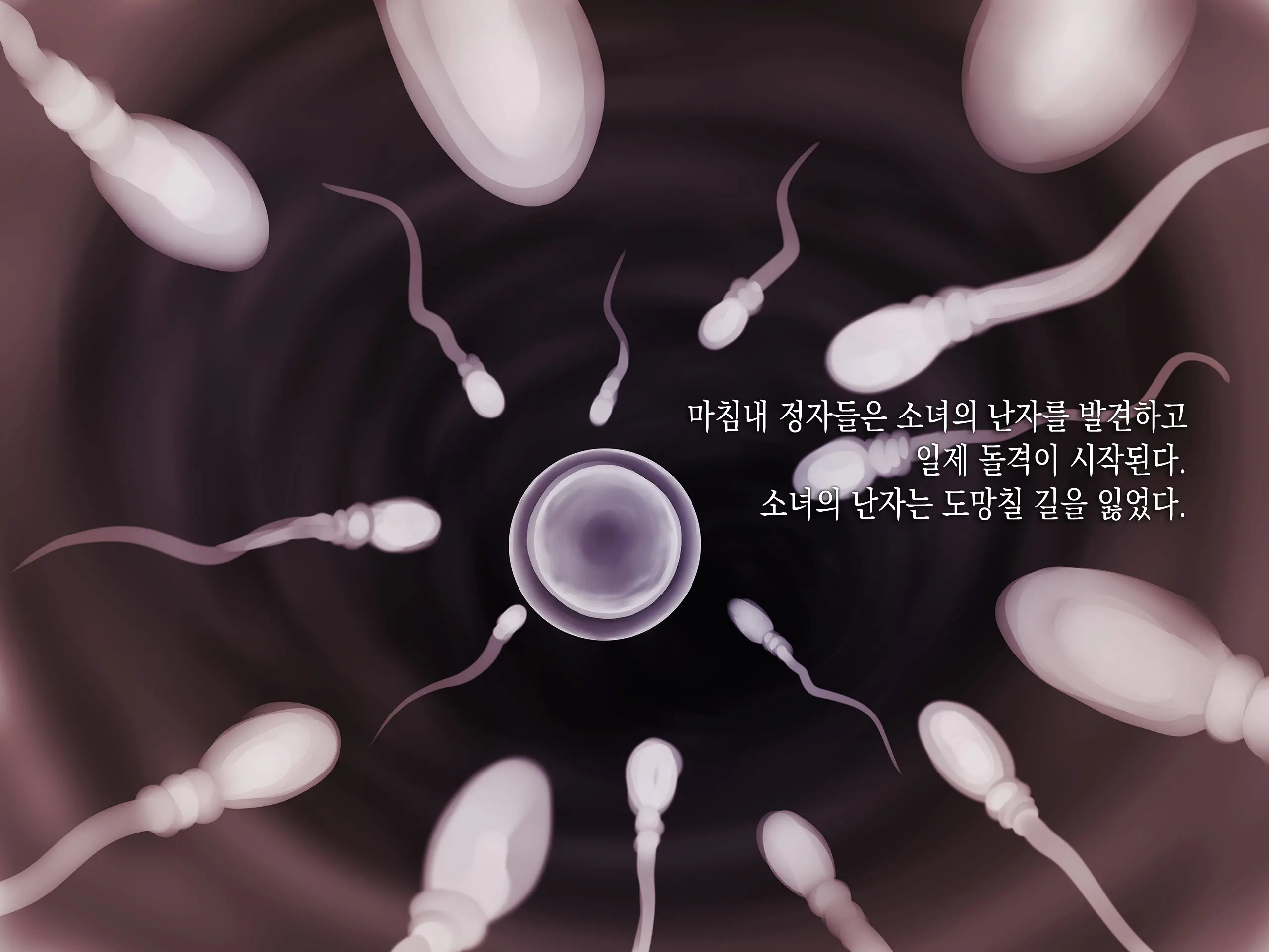 JC O Van De Rachitte Haramase Shuudan Rape | J○를 밴으로 납치해서 집단 임신 플레이